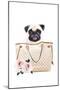 Fashion Bag with Pug-Amanda Greenwood-Mounted Art Print