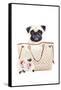 Fashion Bag with Pug-Amanda Greenwood-Framed Stretched Canvas