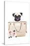 Fashion Bag with Pug-Amanda Greenwood-Stretched Canvas