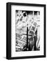 Fashion Face-Philippe Hugonnard-Framed Photographic Print