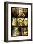 Fashion Face-Philippe Hugonnard-Framed Photographic Print