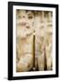 Fashion Face-Philippe Hugonnard-Framed Photographic Print