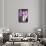 Fashion Face-Philippe Hugonnard-Photographic Print displayed on a wall