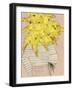 Fashion Floral - Marguerite-Joelle Wehkamp-Framed Giclee Print