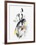 Fashion Flowers I-Aimee Wilson-Framed Art Print