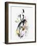 Fashion Flowers I-Aimee Wilson-Framed Art Print