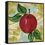 Fashion Fruit I-Nicholas Biscardi-Framed Stretched Canvas