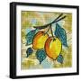 Fashion Fruit II-Nicholas Biscardi-Framed Premium Giclee Print