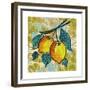 Fashion Fruit II-Nicholas Biscardi-Framed Premium Giclee Print