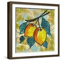 Fashion Fruit II-Nicholas Biscardi-Framed Art Print