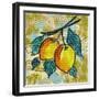 Fashion Fruit II-Nicholas Biscardi-Framed Art Print