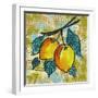 Fashion Fruit II-Nicholas Biscardi-Framed Art Print