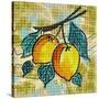 Fashion Fruit II-Nicholas Biscardi-Stretched Canvas