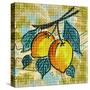 Fashion Fruit II-Nicholas Biscardi-Stretched Canvas