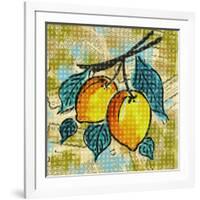 Fashion Fruit II-Nicholas Biscardi-Framed Art Print