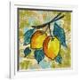 Fashion Fruit II-Nicholas Biscardi-Framed Art Print