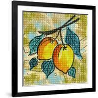 Fashion Fruit II-Nicholas Biscardi-Framed Art Print