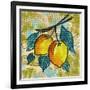 Fashion Fruit II-Nicholas Biscardi-Framed Art Print