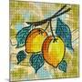 Fashion Fruit II-Nicholas Biscardi-Mounted Art Print