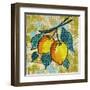 Fashion Fruit II-Nicholas Biscardi-Framed Art Print