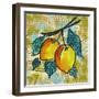 Fashion Fruit II-Nicholas Biscardi-Framed Premium Giclee Print