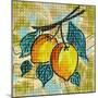 Fashion Fruit II-Nicholas Biscardi-Mounted Premium Giclee Print