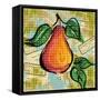 Fashion Fruit V-Nicholas Biscardi-Framed Stretched Canvas