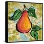 Fashion Fruit V-Nicholas Biscardi-Framed Stretched Canvas