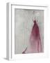 Fashion II-Kari Taylor-Framed Giclee Print