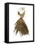 Fashion in Gold I-Patricia Pinto-Framed Stretched Canvas