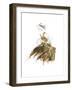 Fashion in Gold II-Patricia Pinto-Framed Art Print