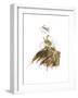 Fashion in Gold II-Patricia Pinto-Framed Art Print