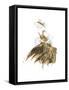 Fashion in Gold II-Patricia Pinto-Framed Stretched Canvas