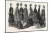 Fashion, Ladies Costumes for Autumn and Winter, 1876, UK-null-Mounted Giclee Print