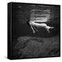 Fashion Model Floating In Water, 1947-Science Source-Framed Stretched Canvas