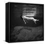 Fashion Model Floating In Water, 1947-Science Source-Framed Stretched Canvas