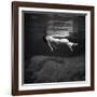 Fashion Model Floating In Water, 1947-Science Source-Framed Giclee Print