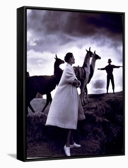 Fashion Model with Llamas, 1952-Science Source-Framed Stretched Canvas