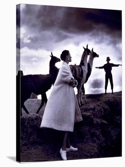 Fashion Model with Llamas, 1952-Science Source-Stretched Canvas