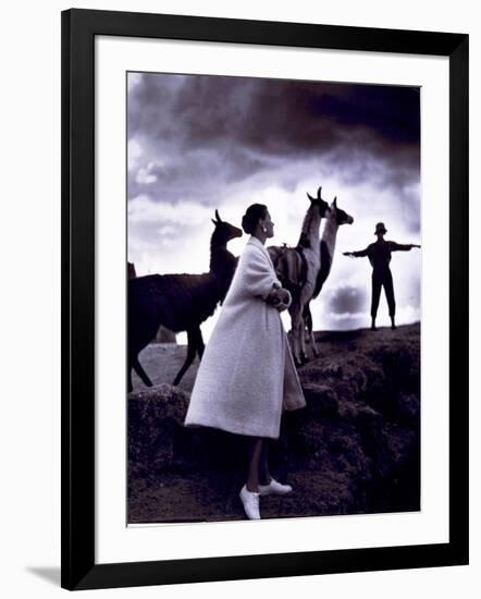 Fashion Model with Llamas, 1952-Science Source-Framed Giclee Print