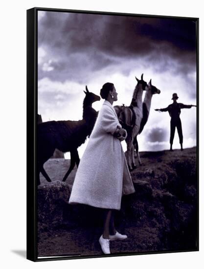 Fashion Model with Llamas, 1952-Science Source-Framed Stretched Canvas