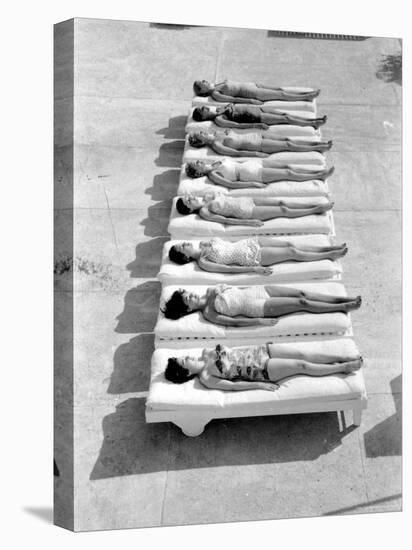 Fashion Models Wearing Swimsuits at a Florida Pool-Lisa Larsen-Stretched Canvas