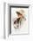 Fashion Modes-Harrison Fisher-Framed Art Print