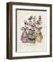 Fashion Plate I-Archive-Framed Art Print