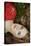 Fashion Portrait of Young Sensual Woman in Garden-heckmannoleg-Stretched Canvas