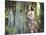 Fashion Portrait of Young Sensual Woman in Garden-heckmannoleg-Mounted Photographic Print