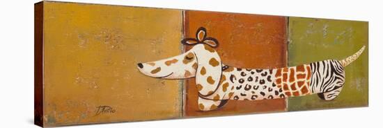 Fashion Puppy I-Patricia Pinto-Stretched Canvas