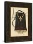 Fashion Purse II-Sophie Devereux-Framed Stretched Canvas