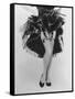 Fashion Shot of Elaborate Garter Made by Andre Richard-Gordon Parks-Framed Stretched Canvas