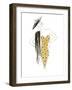 Fashion Sketch III-Patricia Pinto-Framed Art Print